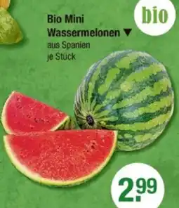 V Markt Bio Mini Wassermelonen Angebot