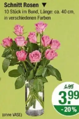 V Markt Schnitt Rosen Angebot