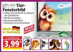 Norma bella casa Tier-Fensterbild Angebot