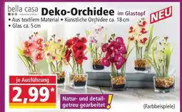 Norma Deko-Orchidee im Glastopf Angebot
