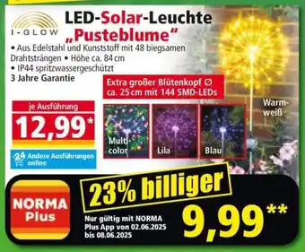 Norma LED-Solar-Leuchte „Pusteblume“ Angebot