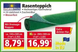 Norma Rasenteppich Angebot