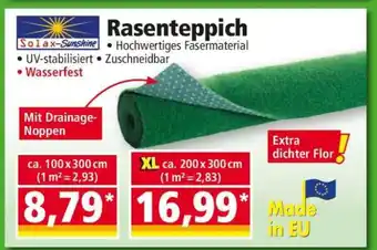 Norma Rasenteppich Angebot