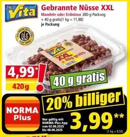 Norma Gebrannte Nüsse XXL Angebot