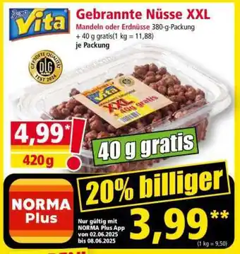 Norma Gebrannte Nüsse XXL Angebot