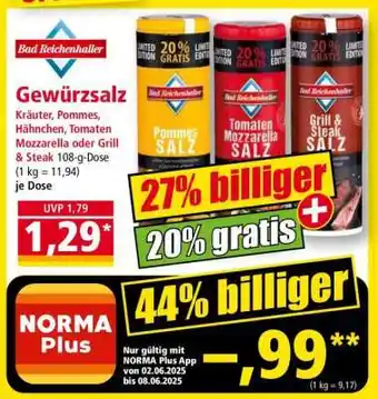 Norma Gewürzsalz Angebot
