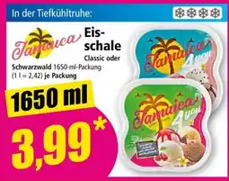 Norma Jamaica Eisschale Angebot