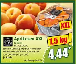 Norma Aprikosen XXL Angebot