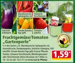 Norma Fruchtgemüse/Tomaten „Gartenperle“ Angebot