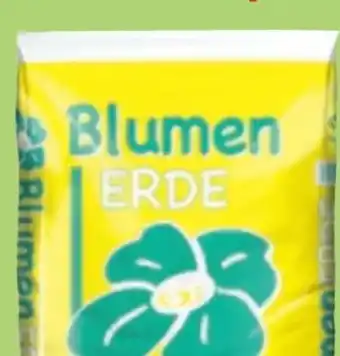 Thomas Philipps Blumenerde Angebot