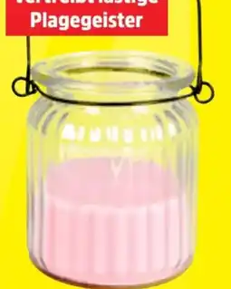 Thomas Philipps Duftkerze Citronella Angebot