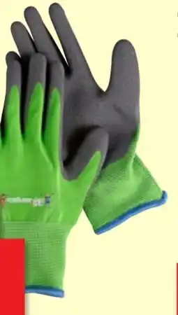 Thomas Philipps Grüner Jan Kinder-Gartenhandschuhe Angebot