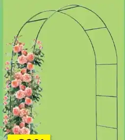 Thomas Philipps Metall-Rosengartenbogen Angebot