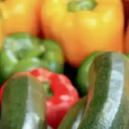 B1 Discount Baumarkt Paprika-Pflanzen Angebot