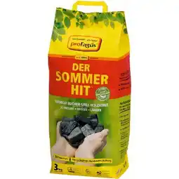 toom Baumarkt proFagus Grill-Holzkohle Angebot