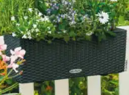 Hagebau Bewässerungs-Balkonkasten Balconera Cottage Angebot
