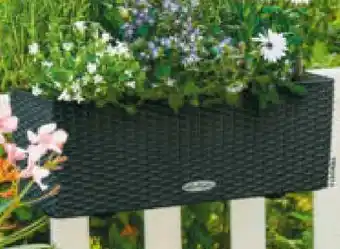 Hagebau Bewässerungs-Balkonkasten Balconera Cottage Angebot