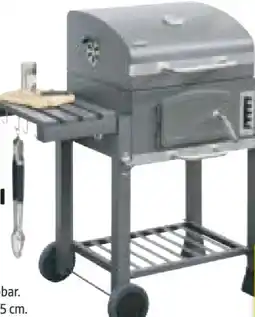 Hagebau Mr. Gardener Holzkohlegrill Ottawa Angebot