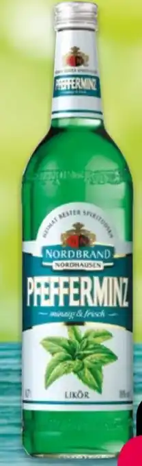NETTO Nordbrand Nordhausen Pfefferminzlikör Angebot