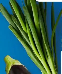 Aldi Süd Lauchzwiebeln Angebot