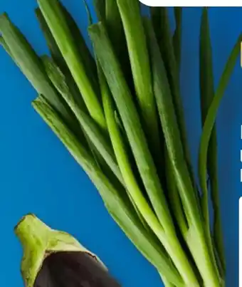 Aldi Süd Lauchzwiebeln Angebot