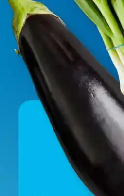 Aldi Süd Aubergine Angebot