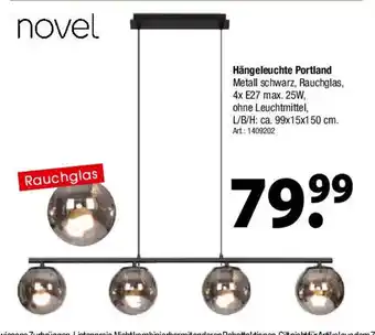 Zurbrüggen novel Hängeleuchte Portland Angebot