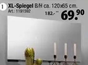 Zurbrüggen xora XL-Spiegel Angebot