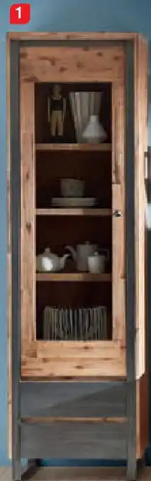 Zurbrüggen LANDSCAPE Vitrine Angebot