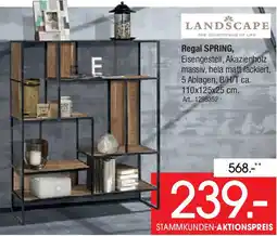 Zurbrüggen LANDSCAPE Regal SPRING Angebot