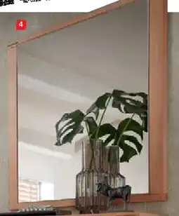 Zurbrüggen LINEA NATURA Spiegel Angebot