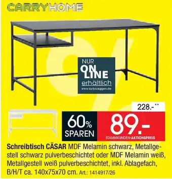 Zurbrüggen CARRYHOME Schreibtisch CÄSAR Angebot