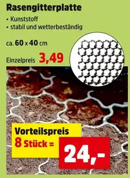 Thomas Philipps Rasengitterplatte Angebot