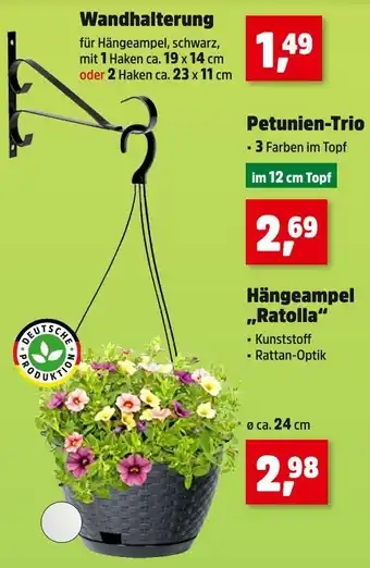 Thomas Philipps Wandhalterung Angebot