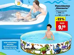 Thomas Philipps Planschbecken dinosaurier Angebot