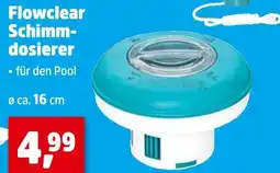 Thomas Philipps Flowclear schwimmdosierer Angebot