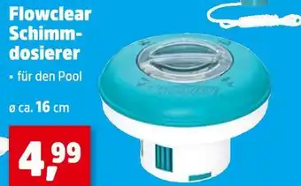 Thomas Philipps Flowclear schwimmdosierer Angebot