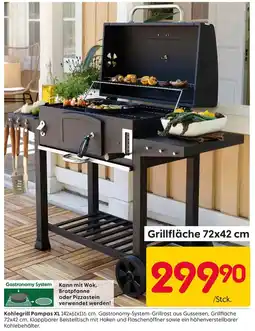 Rusta Kohlegrill pampas xl Angebot
