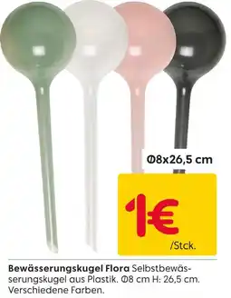 Rusta Bewässerungskugel flora Angebot