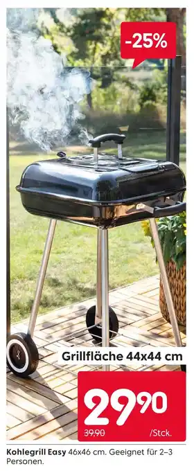 Rusta Kohlegrill easy Angebot