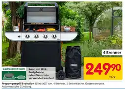 Rusta Propangasgrill evolution Angebot
