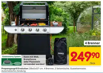 Rusta Propangasgrill evolution Angebot
