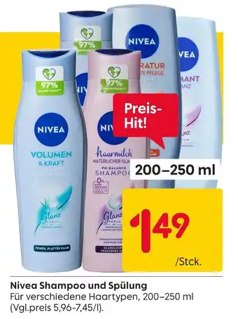 Rusta Nivea shampoo und spülung Angebot