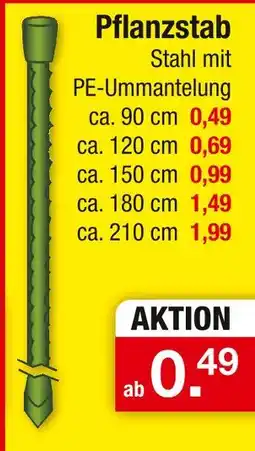 Zimmermann Pflanzstab Angebot