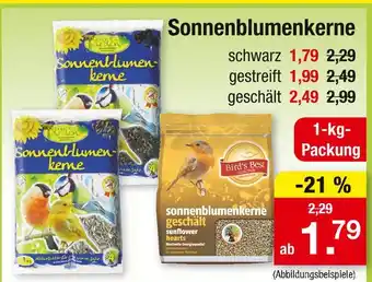 Zimmermann Bird's best sonnenblumenkerne Angebot