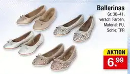Zimmermann Ballerinas Angebot