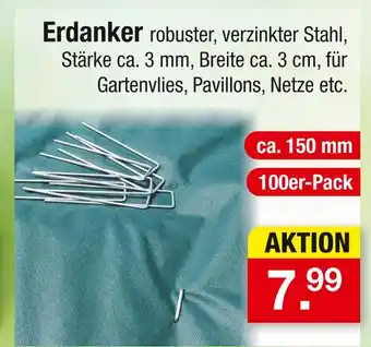 Zimmermann Erdanker Angebot