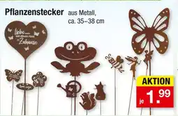 Zimmermann Pflanzenstecker Angebot