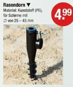 V Markt SCHNEIDER SCHIRME Rasendorn Angebot