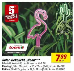 toom Baumarkt Toom solar-dekolicht neon Angebot
